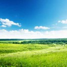 Натяжной потолок "Звездное Небо": постеры